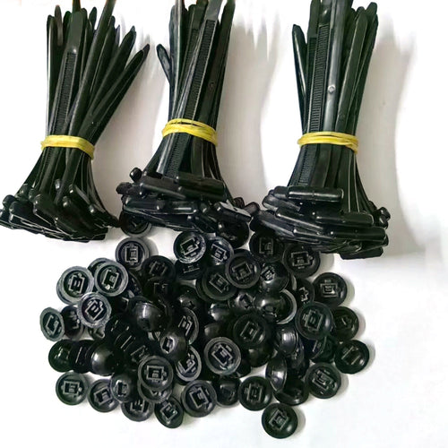 Cable ties with buckles and through nails for securing car floor