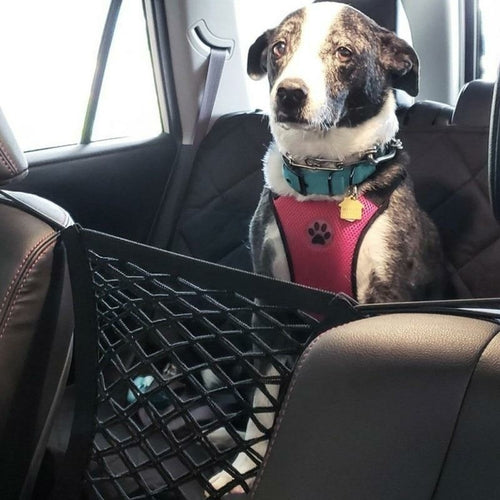 Petición de una red para coches de mascotas, premium y de alta calidad